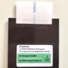 Magneet canvas met intentie 'Sea treasure in all things'